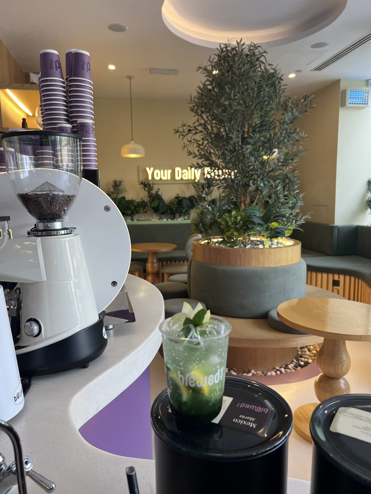 The espresso bar at Brewed Rituals, with the shop's seating and 'Your Daily Rituals' sign behind it