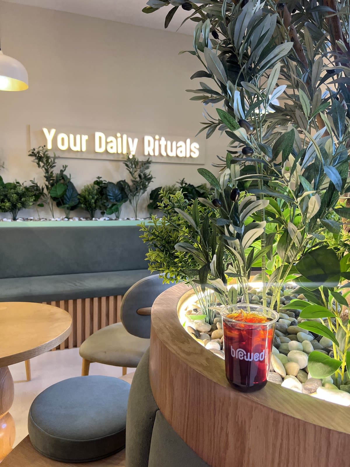 The lit 'Your Daily Rituals' sign behind an olive-tree planter, with an iced drink in a Brewed cup on the counter